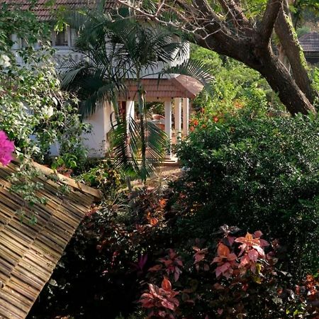 Gaia'S Garden Guest House Auroville Ngoại thất bức ảnh