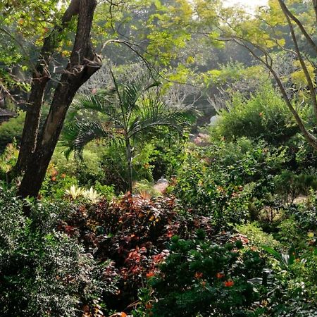 Gaia'S Garden Guest House Auroville Ngoại thất bức ảnh