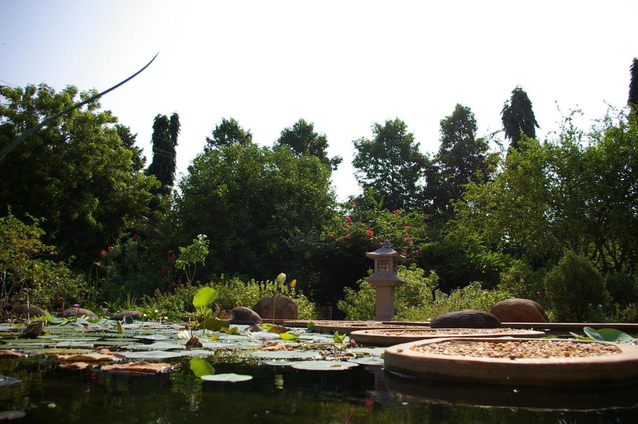 Gaia'S Garden Guest House Auroville Ngoại thất bức ảnh