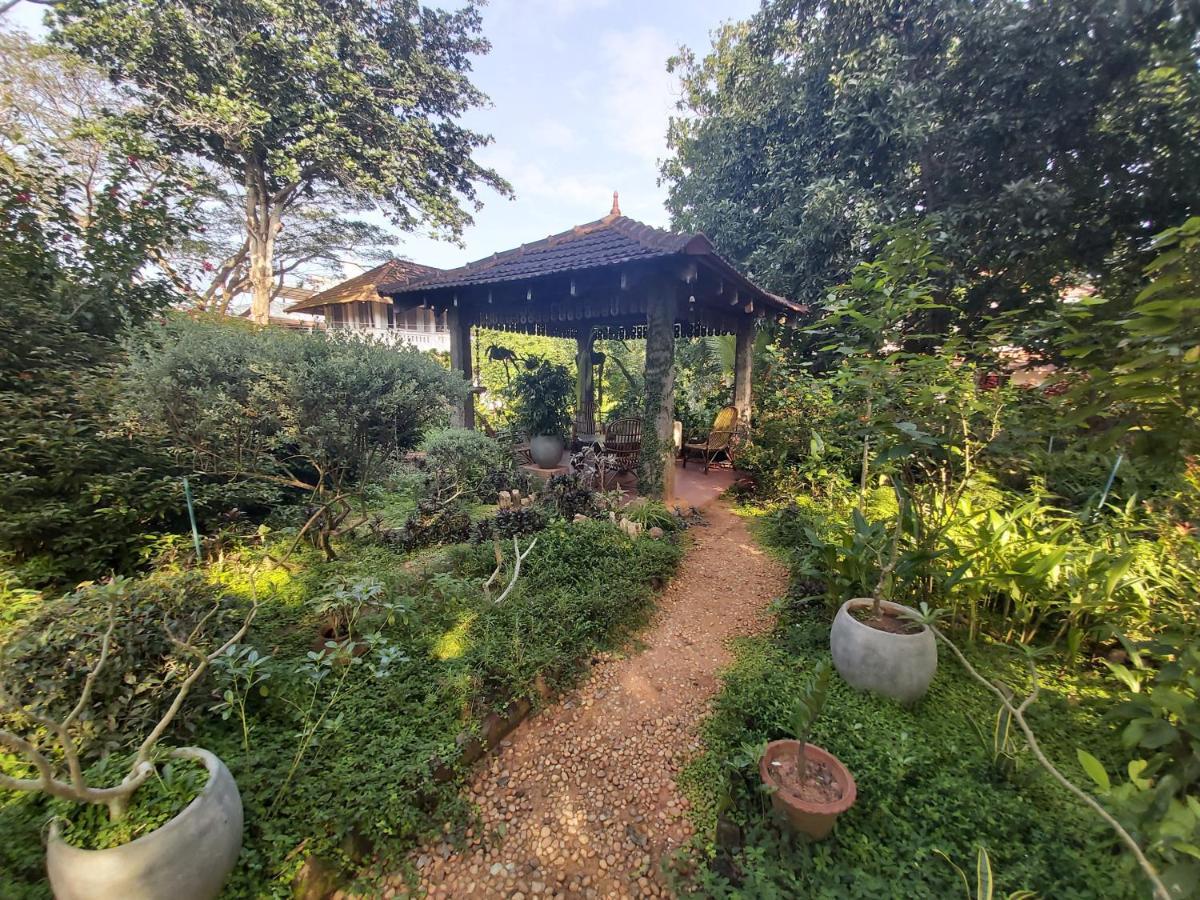 Gaia'S Garden Guest House Auroville Ngoại thất bức ảnh