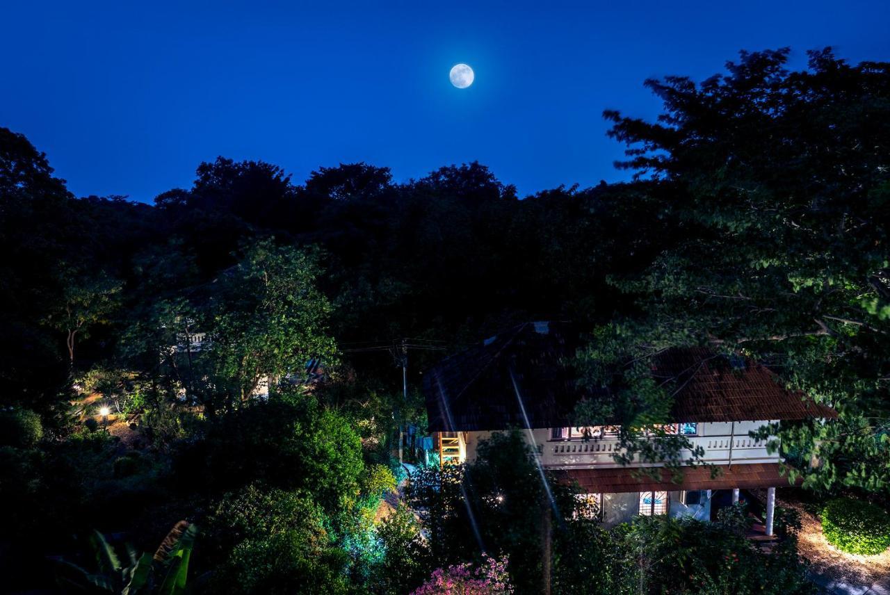 Gaia'S Garden Guest House Auroville Ngoại thất bức ảnh