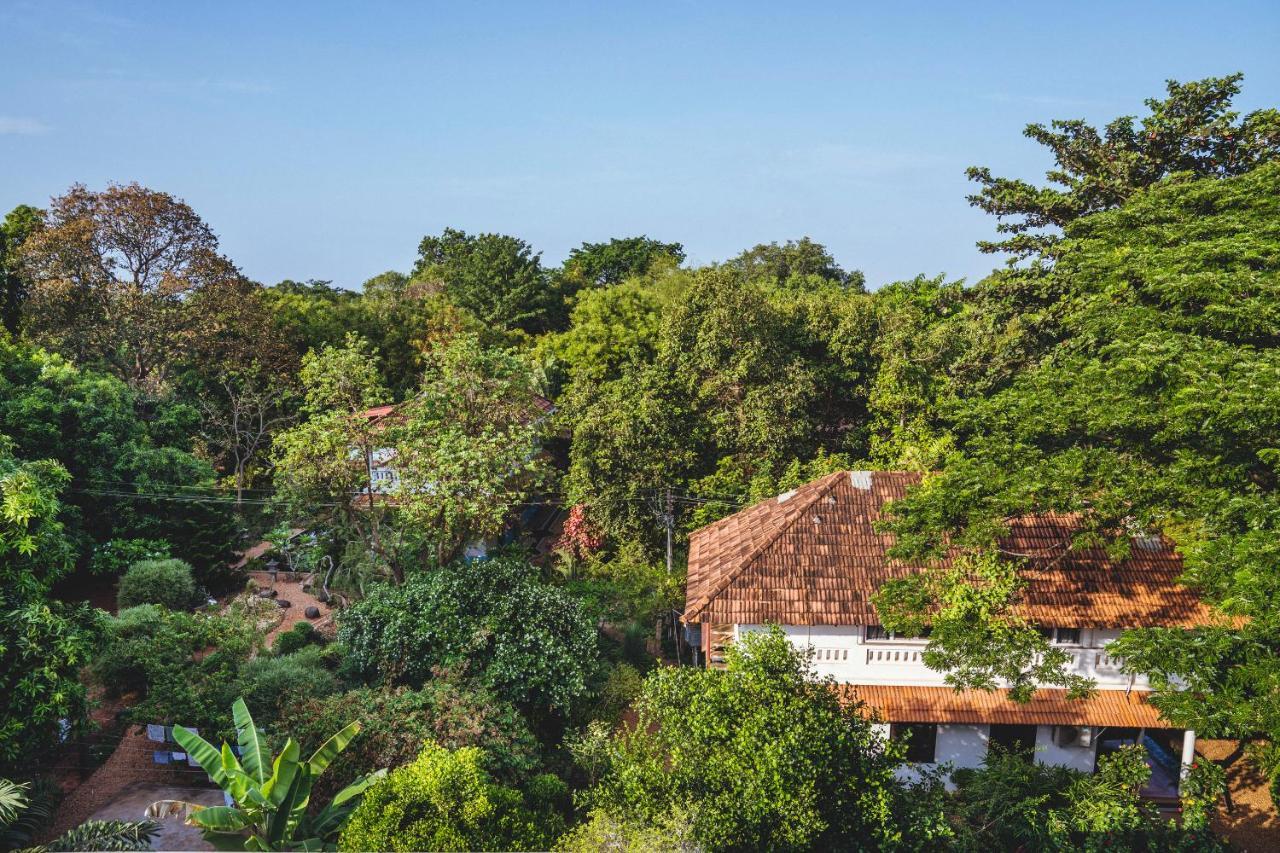 Gaia'S Garden Guest House Auroville Ngoại thất bức ảnh