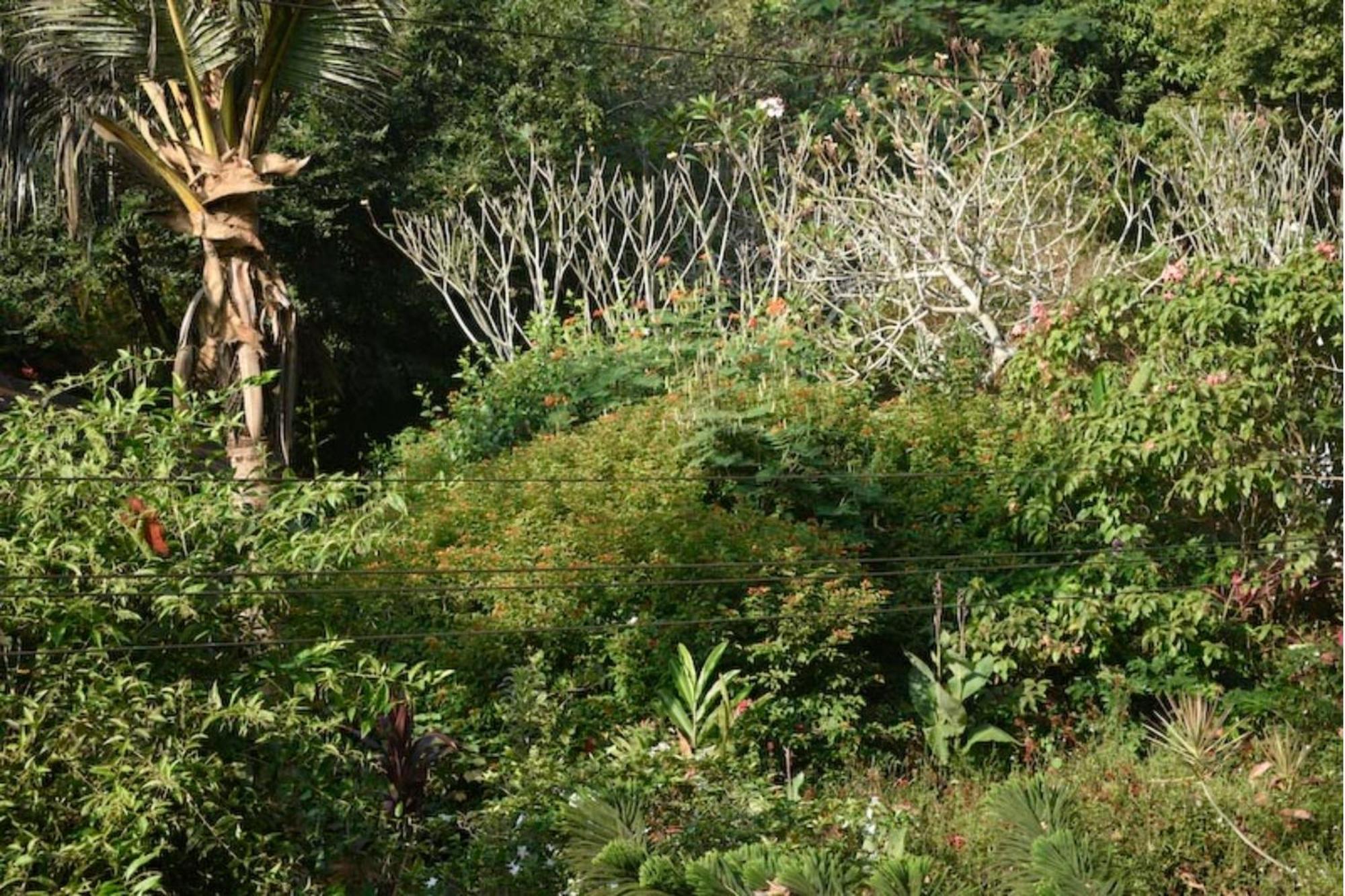 Gaia'S Garden Guest House Auroville Ngoại thất bức ảnh