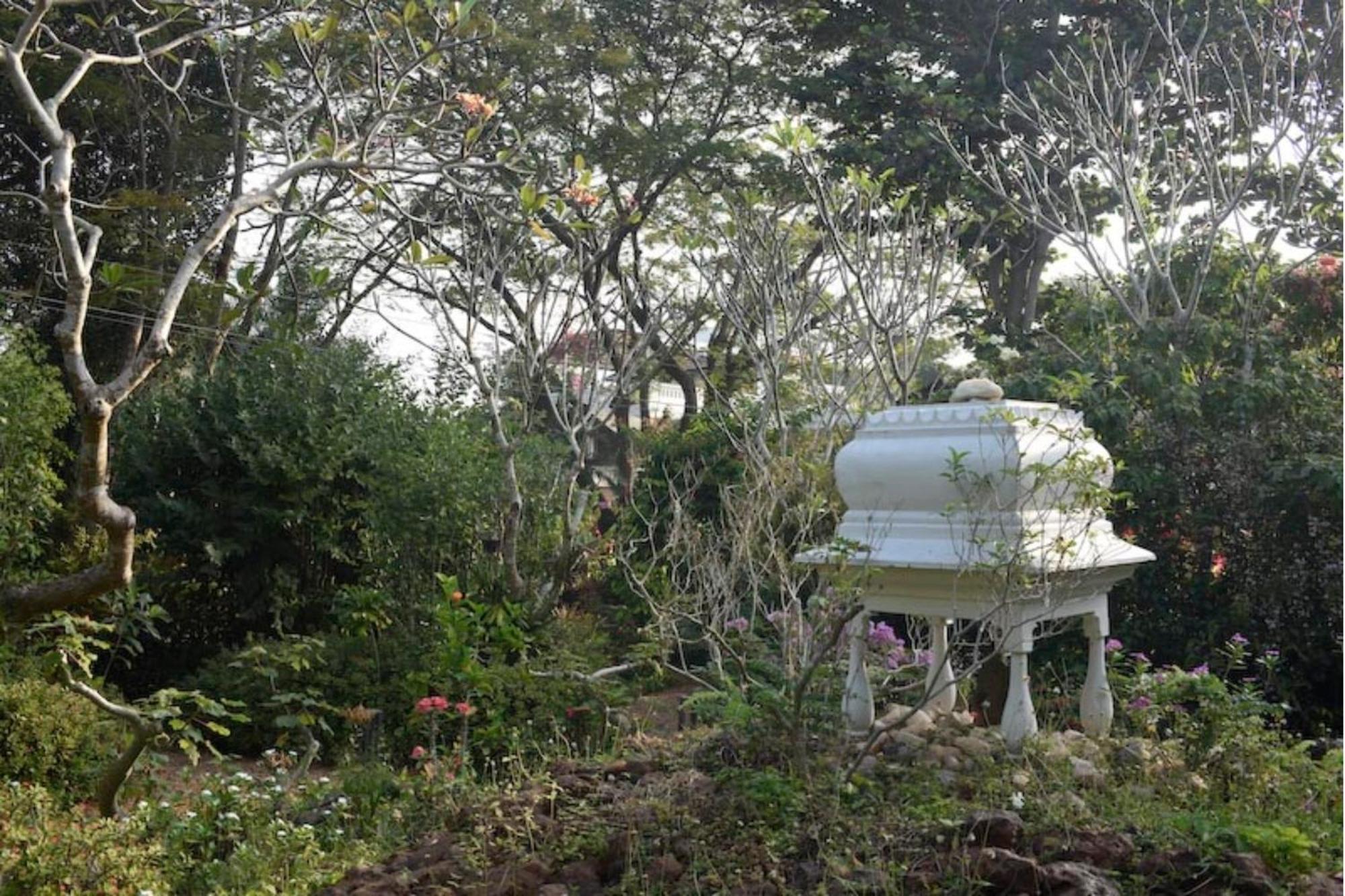 Gaia'S Garden Guest House Auroville Ngoại thất bức ảnh