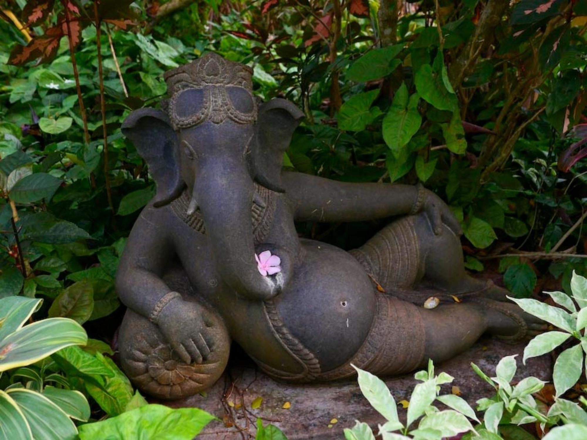 Gaia'S Garden Guest House Auroville Ngoại thất bức ảnh