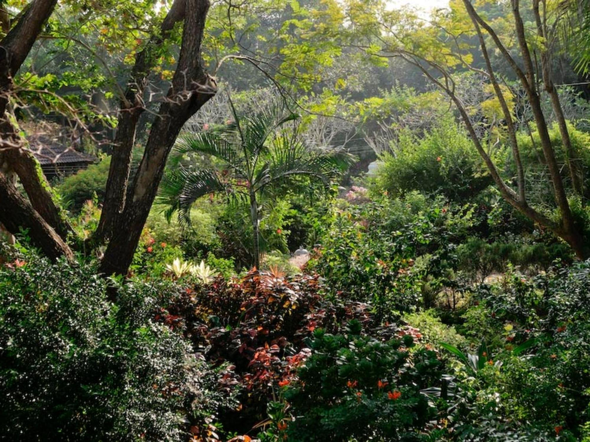 Gaia'S Garden Guest House Auroville Ngoại thất bức ảnh
